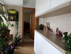 Clover By The Park (D20), Condominium #481699031